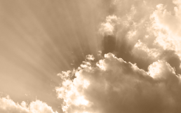 コンプライアンス